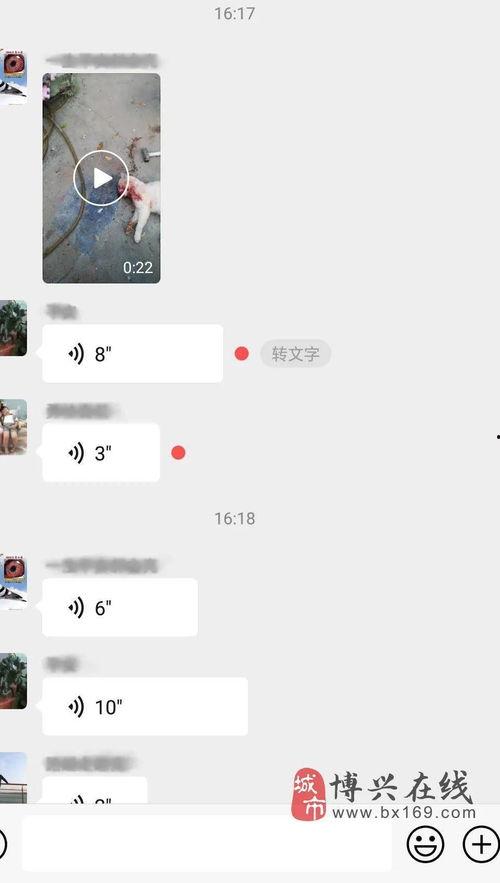 残忍虐猫视频大全,残忍虐猫视频大盘点