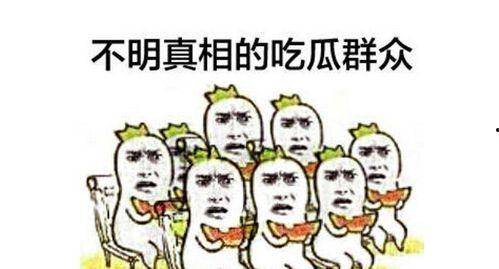 吃瓜群众视频短片大全